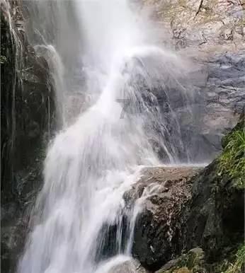 【我的新春故事】燃面师徒传承家乡味道（视频）